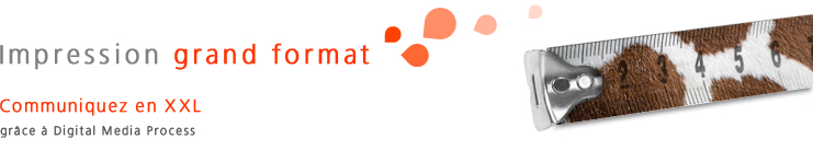 Impression grand format